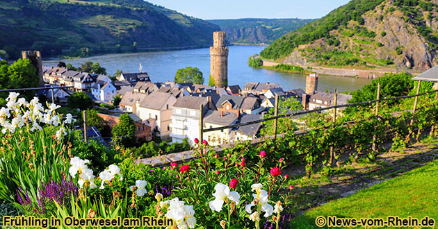 Paketreisen in Deutschland nach Oberwesel am Mittelrhein